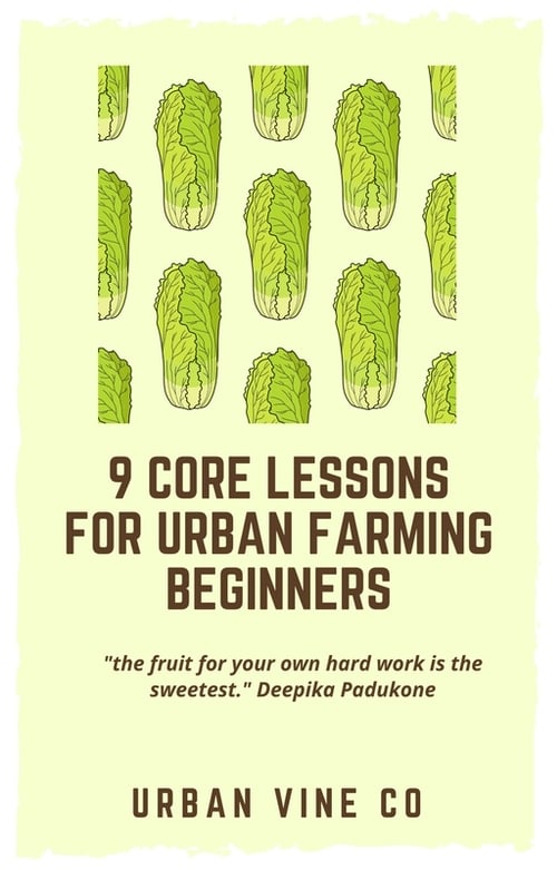 What Is A Growing Medium? (A Quick & Simple Guide)